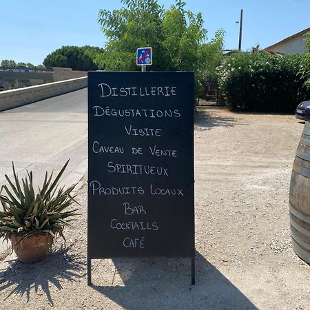 Loft Maison Fluide Aigues-Mortes Exteriör bild